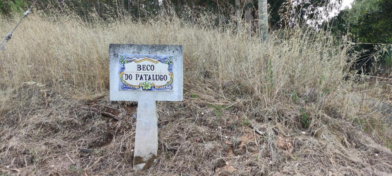 Apartament Beco Do Patalugo Salir de Matos Zewnętrze zdjęcie